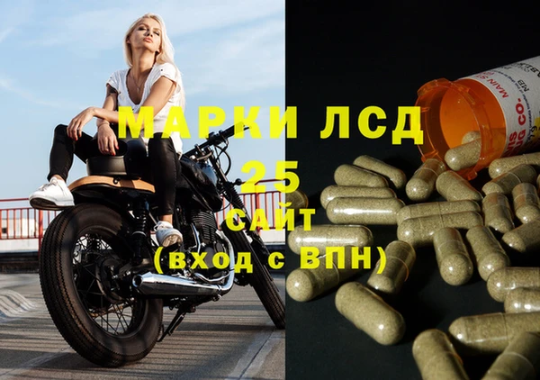 сатива Армянск