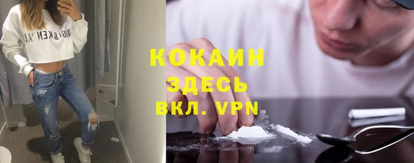 сатива Армянск