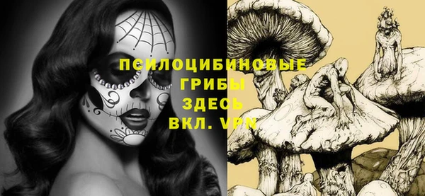 МДПВ Аркадак