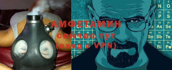 сатива Армянск