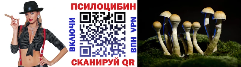 сколько стоит  Окуловка  Псилоцибиновые грибы прущие грибы 
